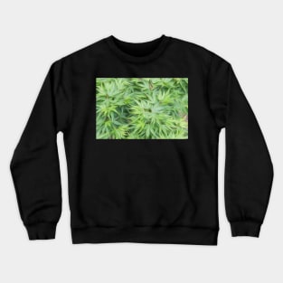 Acer palmatum oil painting effect Crewneck Sweatshirt